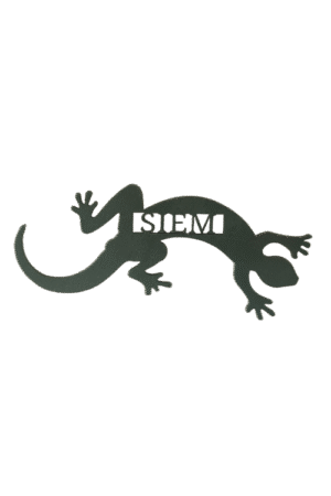 Gepersonaliseerd Houten salamander Naambord – meerdere kleuren beschikbaar